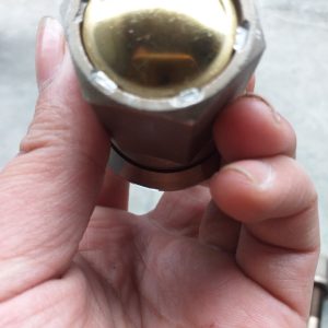 Bulong tắc kê sau bịt đầu 142