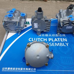 Các loại chia hơi