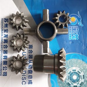 Ruột visai con lợn AC16