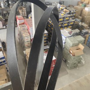 Dây curoa 6PK1248