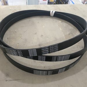 Dây curoa 8PK1255